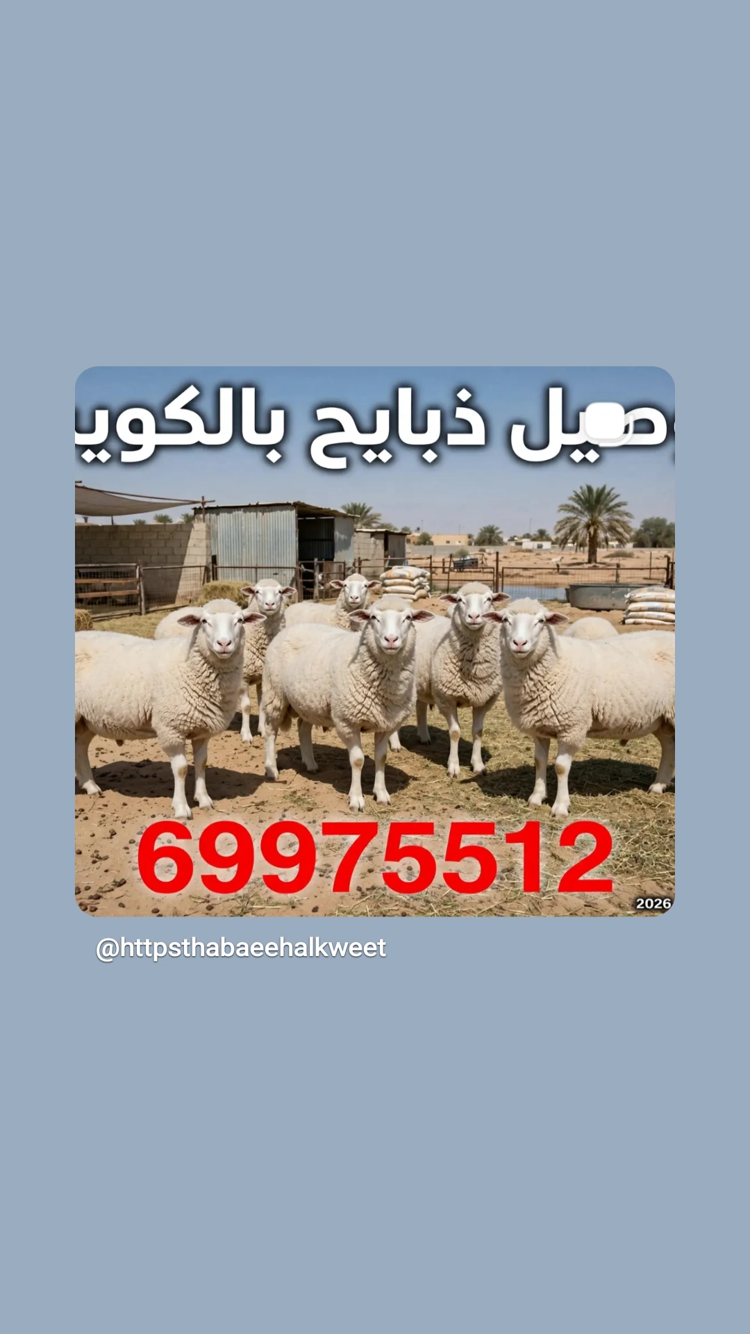 توصيل ذبايح بالكويت